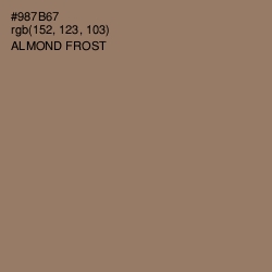#987B67 - Almond Frost Color Image